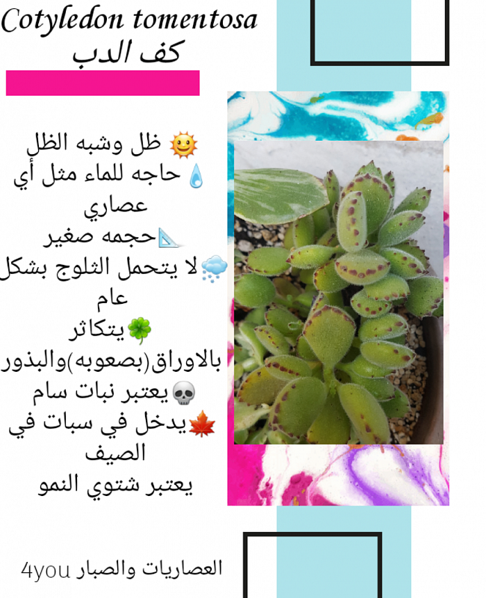 معلومات عامه