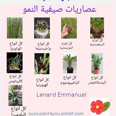 عصاريات صيفية النمو